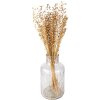 Clayre & Eef 5DF0017 Gedroogde bloemen 60 cm (100 gr) Beige