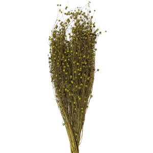 Clayre & Eef 5DF0018 Gedroogde bloemen 60 cm (100 gr)...