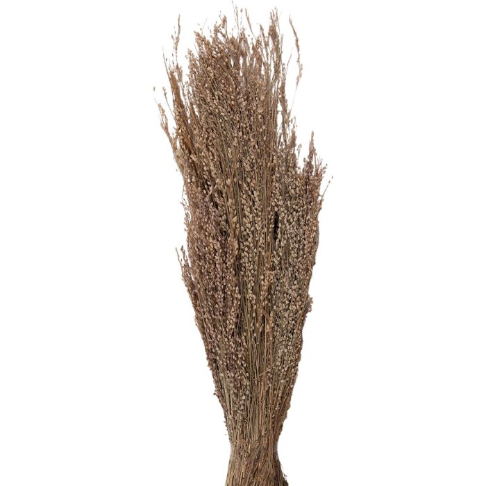 Clayre & Eef 5DF0020 Gedroogde bloemen 55 cm (100 gr) Beige