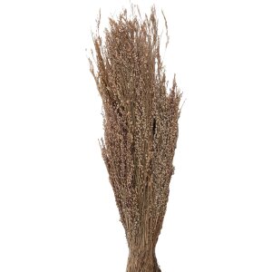 Clayre & Eef 5DF0020 Gedroogde bloemen 55 cm (100 gr)...