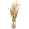 Clayre & Eef 5DF0020 Gedroogde bloemen 55 cm (100 gr) Beige