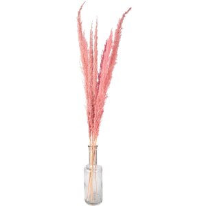 Clayre & Eef 5DF0022 Gedroogde bloemen 100 cm (10) Roze