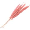 Clayre & Eef 5DF0022 Gedroogde bloemen 100 cm (10) Roze