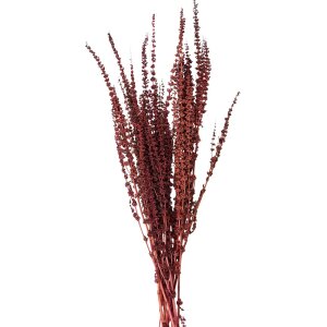 Clayre & Eef 5DF0025 Gedroogde bloemen 85 cm (100 gr)...