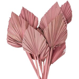 Clayre & Eef 5DF0029 Gedroogde bloemen 55 cm (12) Roze