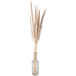 Clayre & Eef 5DF0034 Gedroogde bloemen 100 cm (10) Beige