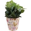 Clayre & Eef 6CE1562S Decoratie Bloempot Ø 14x13 cm Roze - Beige