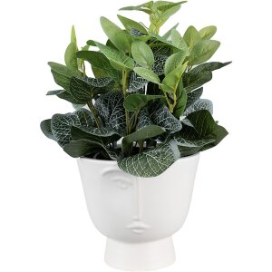 Clayre & Eef 6CE1570L Decoratie Bloempot Ø 17x15 cm Wit