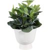 Clayre & Eef 6CE1570L Decoratie Bloempot Ø 17x15 cm Wit