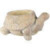 Clayre & Eef 6TE0458 Bloempot Schildpad Ø 22x16x10 cm Beige