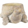 Clayre & Eef 6TE0458 Bloempot Schildpad Ø 22x16x10 cm Beige