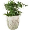 Clayre & Eef 6TE0463M Bloempot Ø 16x17 cm Groen - Beige Rond