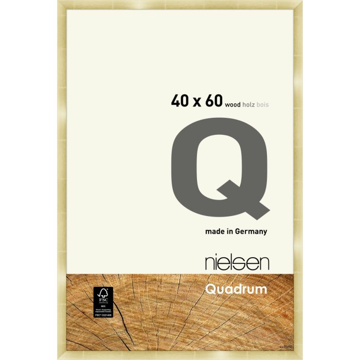 Nielsen Houten kliklijst Quadrum 40x60 cm goud