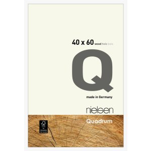 Nielsen Houten kliklijst Quadrum 40x60 cm wit dekkend