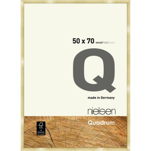 Nielsen Houten kliklijst Quadrum 50x70 cm goud