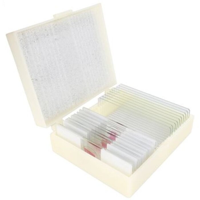 Kegel Prep Set Een Druppel Water 10 stuks. Biologie lesmateriaal