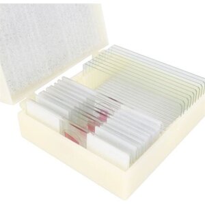 Kegel Prep Set Een Druppel Water 10 stuks. Biologie...