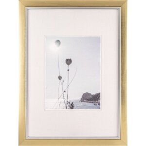 Walther fotolijst Beyond 29,7x42 cm champagne-goud DIN A3...