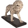 Clayre & Eef 5MG0030 Decoratie Leeuw 55x23x40 cm Beige Bruin