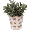 Clayre & Eef 6CE1664S Decoratie Bloempot Ø 13x12 cm Beige Roze