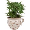 Clayre & Eef 6CE1665L Decoratie Bloempot 20x17x15 cm Beige Roze