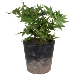 Clayre & Eef 6CE1719L Decoratie Bloempot Ø 17x16 cm Zwart Bruin