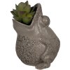 Clayre & Eef 6PR5059 Bloempot Kikker Decoratie 19x18x23cm Grijs