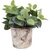 Clayre & Eef 6TE0523M Bloempot Terracotta Beige Ø 18x15 cm Landelijke stijl