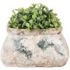 Clayre & Eef 6TE0536S Bloempot 17x13x9 cm