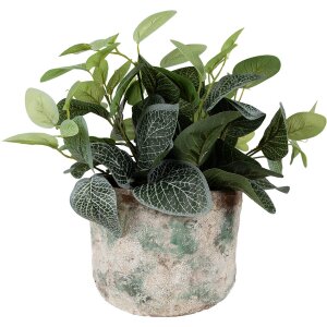 Clayre & Eef 6TE0530L Bloempot Ø 18x15 cm...