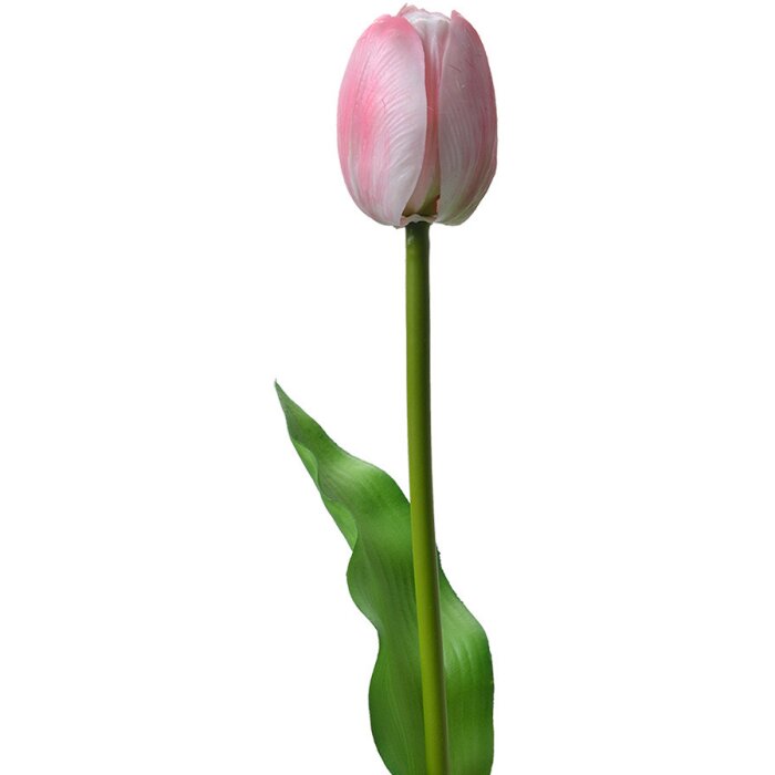 Clayre & Eef 6PL0311 Kunsttulp Roze 4x4x32 cm Plastic Bloem