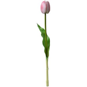 Clayre & Eef 6PL0311 Kunsttulp Roze 4x4x32 cm Plastic...