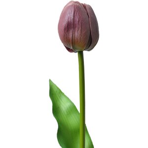 Clayre & Eef 6PL0312 Kunstbloem Tulp paars 4x4x32 cm