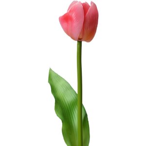 Clayre & Eef 6PL0313 Kunstbloem Tulp Roze 4x4x32 cm...