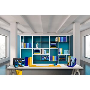 Exacompta 18202SETD Set van 4 tijdschriftenmappen MAG-CUBE Bee Blue geassorteerde kleuren