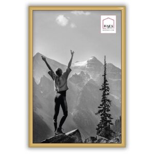 Haes Deco EF4G Easy Frame Kunststof Fotolijst Goud 20x30 cm