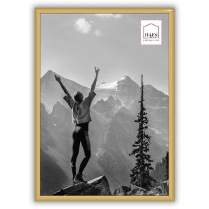 Haes Deco EF11G Easy Frame Goud A4 21x29,7 cm kunststof...