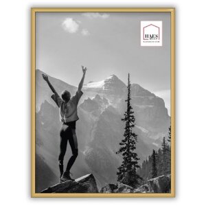 Haes Deco kunststof fotolijst Easy Frame Goud 30x40 cm