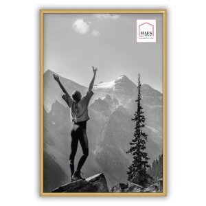 Haes Deco kunststof fotolijst EF6G Easy Frame Goud 30x45...