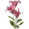 Clayre & Eef 6PL0337P Decoratieve Tak met Bloemen Roze Groen 15x10x72 cm