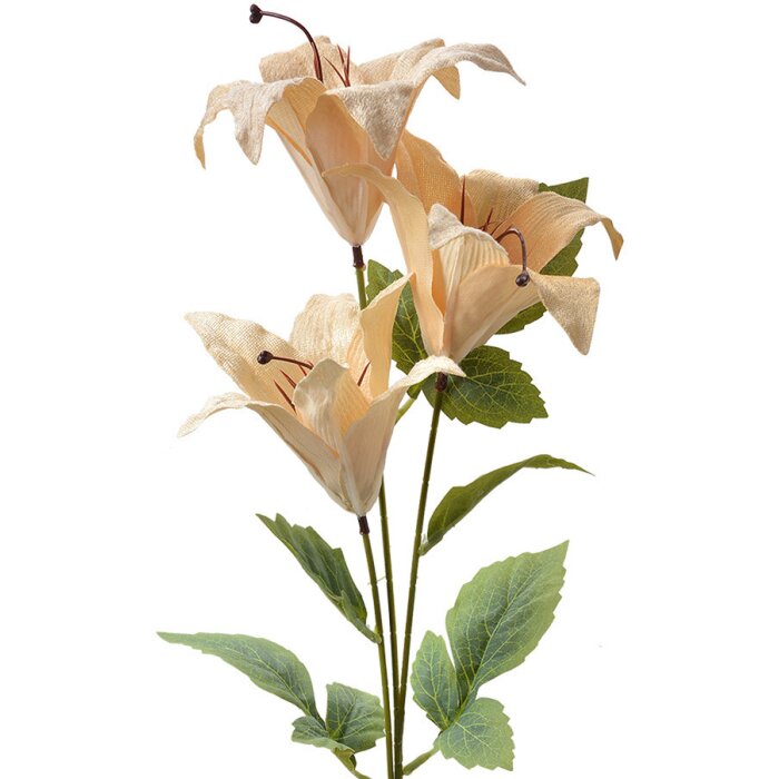 Clayre & Eef 6PL0337Y Decoratie Tak Bloemen Beige Groen 15x10x72 cm