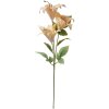 Clayre & Eef 6PL0337Y Decoratie Tak Bloemen Beige Groen 15x10x72 cm