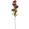 Clayre & Eef 6PL0343R Decoratieve Tak met Bloemen Rood Groen 18x10x70 cm