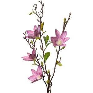 Clayre & Eef 5PL0129P Decoratietak met Roze Bloemen...