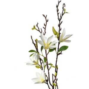 Clayre & Eef 5PL0129W Decoratietak met Witte Bloemen...