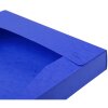 Archiefdoos Cartobox plat geleverd rug 25mm Manilla karton Nature Future, din a4 blauw