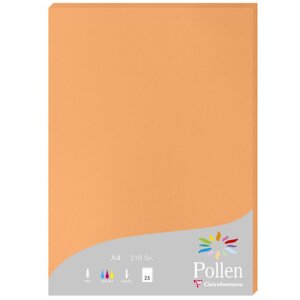 Papier a4 Pollen 210g Clementine 25 vellen