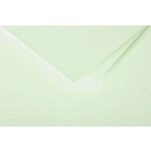 Pak 20 Enveloppen Pollen, c5 162x229mm, 120g groen