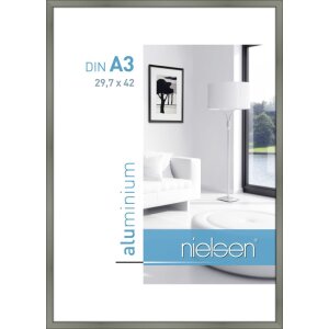 Aluminium lijst Classic 29,7x42 cm platina