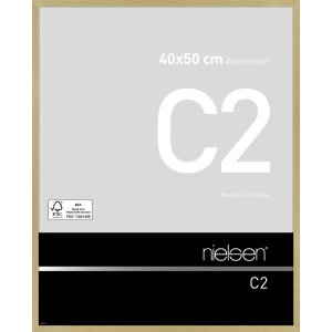 Nielsen Aluminium lijst c2 40x50 cm structuur goud mat